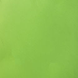 Neon Green